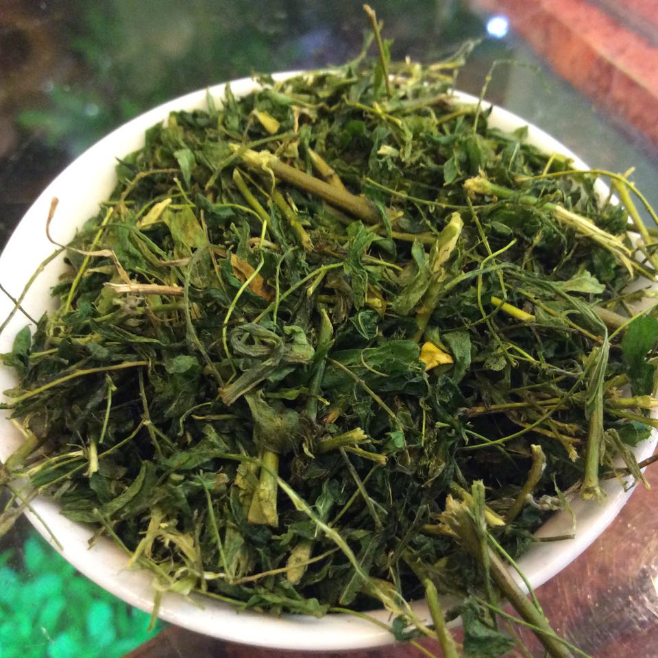 Trà Tương Tư